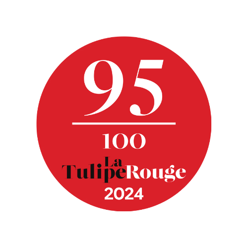 Tulipe Rouge 95 - 2024