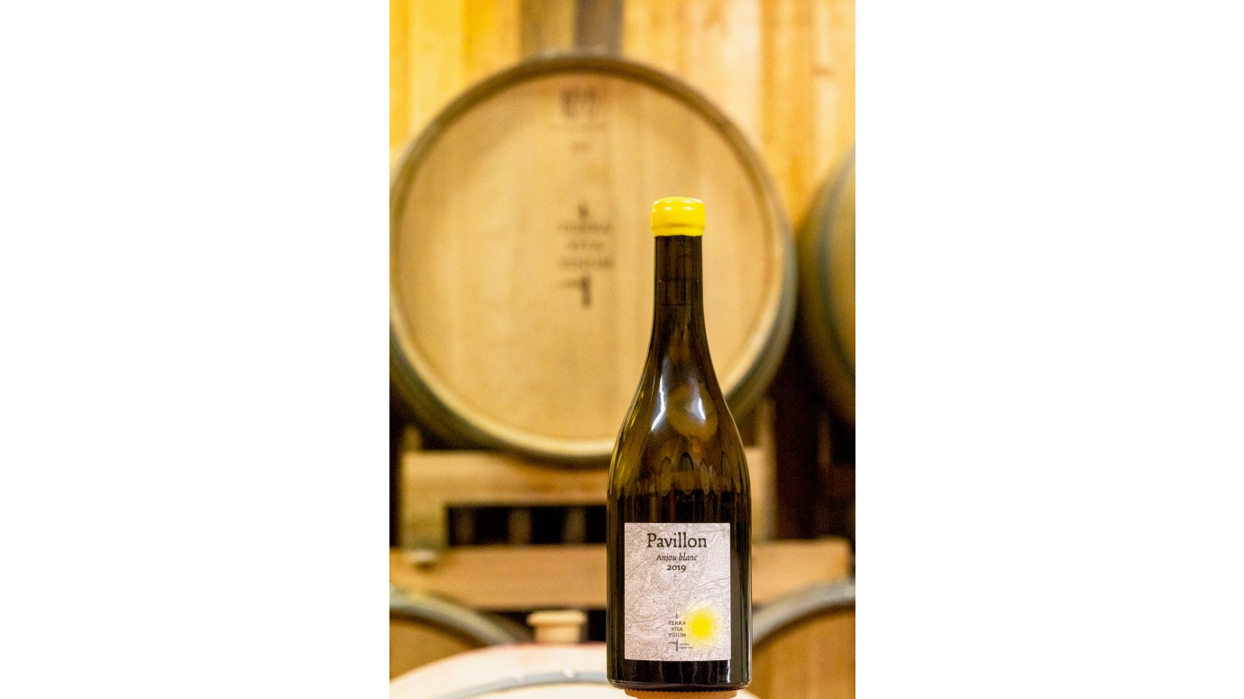 Pavillon: another single plot cuvée to discover at Terra Vita Vinum Pavillon: another single plot cuvée to discover at Terra Vita Vinum